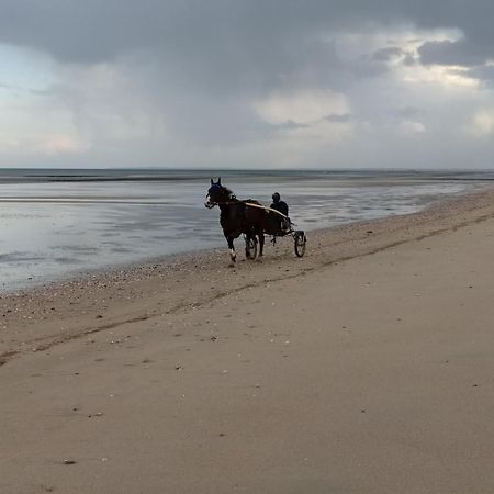 Gites En Normandie En Front De Mer A Asnelles , 3Km D'Arromanches, 10Km De Bayeux Exterior foto